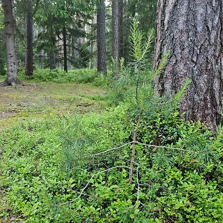 Puhkekeskus