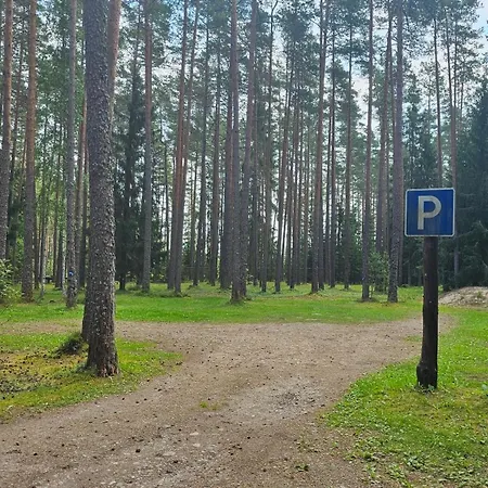 Puhkekeskus مكان تخييم Viitna