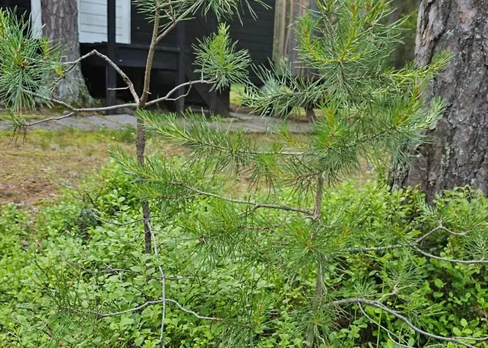 Puhkekeskus * Viitna