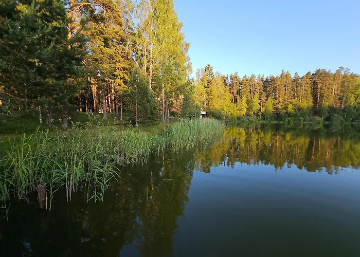 Campsite Puhkekeskus Viitna