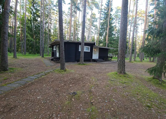 Puhkekeskus Campingplads Viitna